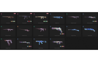 UNIQUE - Unranked - 1x Knife Skin [10 Agents, LVL 42, Oni Guardian and MORE!]