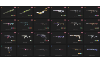 UNIQUE - Unranked - 7x Knife Skins [17 Agents, LVL 107, 2x Rgx 11z Pro Skins and MORE!]