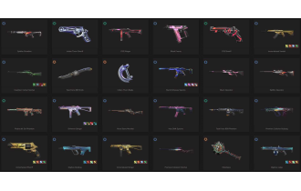 UNIQUE - Unranked - 7x Knife Skins [17 Agents, LVL 107, 2x Rgx 11z Pro Skins and MORE!]