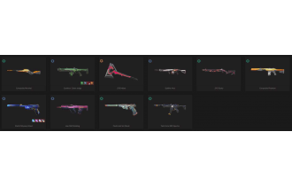 UNIQUE - Unranked - 7x Knife Skins [17 Agents, LVL 107, 2x Rgx 11z Pro Skins and MORE!]