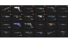 UNIQUE - Unranked - 2x Knife Skins [8 Agents, LV: 61, 2x 17 Agents Skins and MORE!]