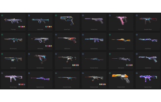 UNIQUE - Unranked - 2x Knife Skins [8 Agents, LV: 61, 2x 17 Agents Skins and MORE!]