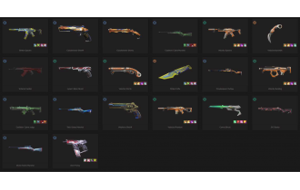 UNIQUE - Unranked - 4x Knife Skins [LVL 193, 5x Protocol 781-a Skins and MORE!]