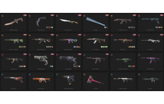 UNIQUE - Unranked - 7x Knife Skins [14 Agents, LVL 95, 2x Elderflame Skins and MORE!]