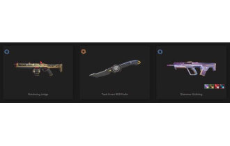 UNIQUE - Unranked - 2x Knife Skins [14 Agents, LVL 55, 2x Champions 2022 Butterfly Skins and MORE!]