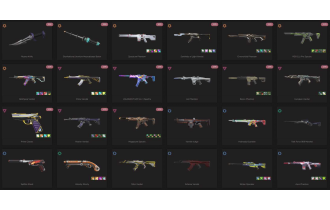 UNIQUE - Unranked - 8x Knife Skins [17 Agents, LVL 246, Reaver Knife and MORE!]