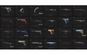 UNIQUE - Unranked - 8x Knife Skins [17 Agents, LVL 246, Reaver Knife and MORE!]