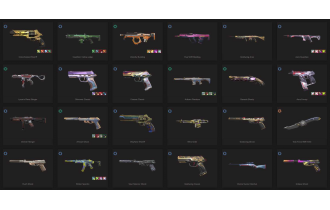 UNIQUE - Unranked - 8x Knife Skins [17 Agents, LVL 246, Reaver Knife and MORE!]