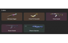 UNIQUE - Unranked - 2x Knife Skins [16 Agents, LVL 77, Glitchpop Dagger and MORE!]