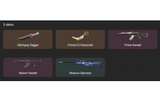 UNIQUE - Unranked - 2x Knife Skins [16 Agents, LVL 77, Glitchpop Dagger and MORE!]