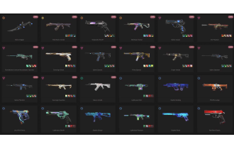 UNIQUE - Unranked - 2x Knife Skins [15 Agents, LVL 85, Elderflame Vandal and MORE!]