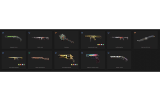 UNIQUE - Unranked - 3x KNife Skins [18 Agents, LVL 89, Elderflame Vandal and MORE!]