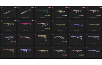 UNIQUE - Unranked - 3x Knife Skins [17 Agents, LVL 74, 5x Tilde Skins and MORE!]