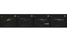 UNIQUE - Unranked - 1x Knife Skin [8 Agents, LVL 39, 2x Champions 2023 Skins  and MORE!]