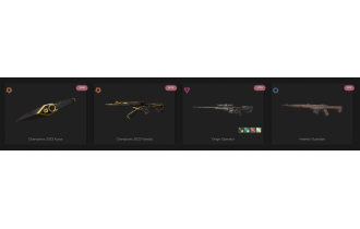 UNIQUE - Unranked - 1x Knife Skin [8 Agents, LVL 39, 2x Champions 2023 Skins  and MORE!]