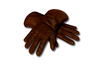 Dracul's Grasp [Gloves]