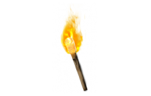 Hellfire Torch Amazon (Ladder) [Unique Charms]