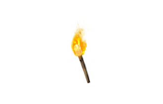 Hellfire Torch Amazon (Ladder) [Unique Charms]