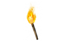 Hellfire Torch Assassin (Ladder) [Unique Charms]