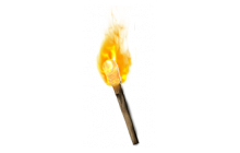 Hellfire Torch Druid (Ladder) [Unique Charms]