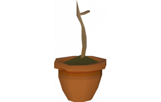 Yew Sapling x500 [OSRS Item]