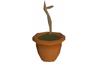 Papaya Sapling x1,000 [OSRS Item]