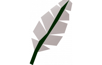 Feather x50,000 (GIM) [OSRS GIM Item]