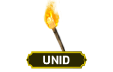 Hellfire Torch UNID [Unidentified Charm]