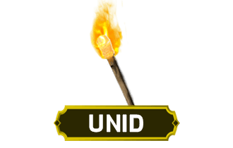 Hellfire Torch UNID [Unidentified Charm]