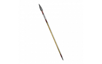 Matriarchal Pike (Ladder) [Polearms]