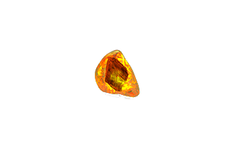 Faceted Fossil [POE Items]