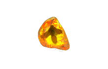 Scorched Fossil [POE Items]