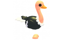 Ostrich (Adopt Me - Pet) [Flyable, Rideable]