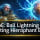 Ball Lightning of Orbiting Hierophant Build Guide in PoE 3.25