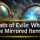 Path of Exile: What Are Mirrored Items?