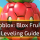 Roblox Blox Fruits Leveling Guide