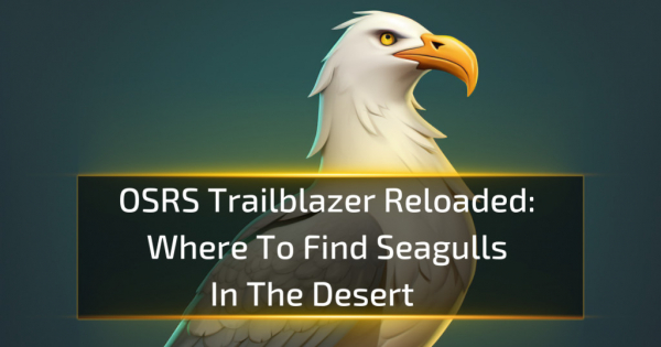 Where To Find Seagulls In The Desert - OSRS Trailblazer Reloaded