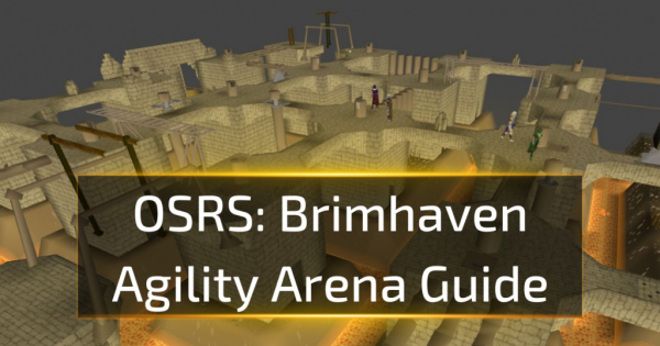 OSRS Brimhaven Agility Arena Guide