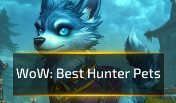 Best Hunter Pets in World of Warcraft