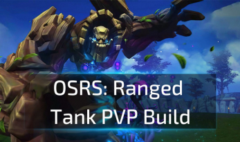 OSRS Ranged Tank PVP Build