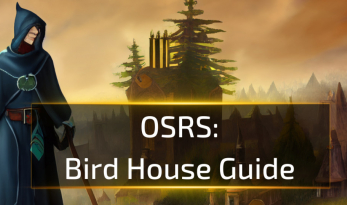 OSRS Bird House Guide