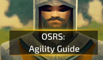 OSRS Agility Guide