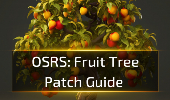 OSRS Fruit Tree Patch Guide