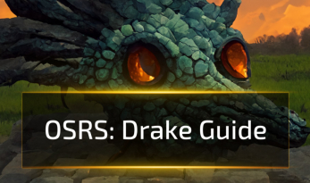 OSRS Drake Guide