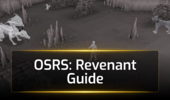 OSRS Revenant Farming Guide