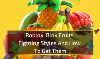 Blox Fruits Fighting Styles And How To Get Them