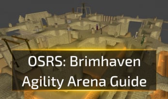 OSRS Brimhaven Agility Arena Guide